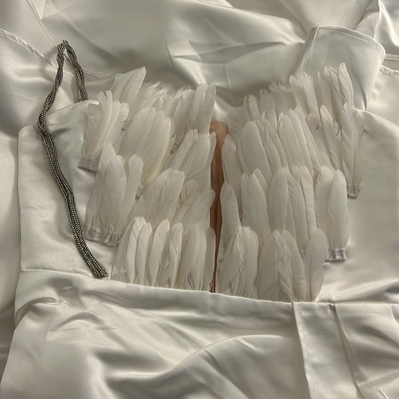 Sexy Elegant Feather Dress - Picture 9 of 10